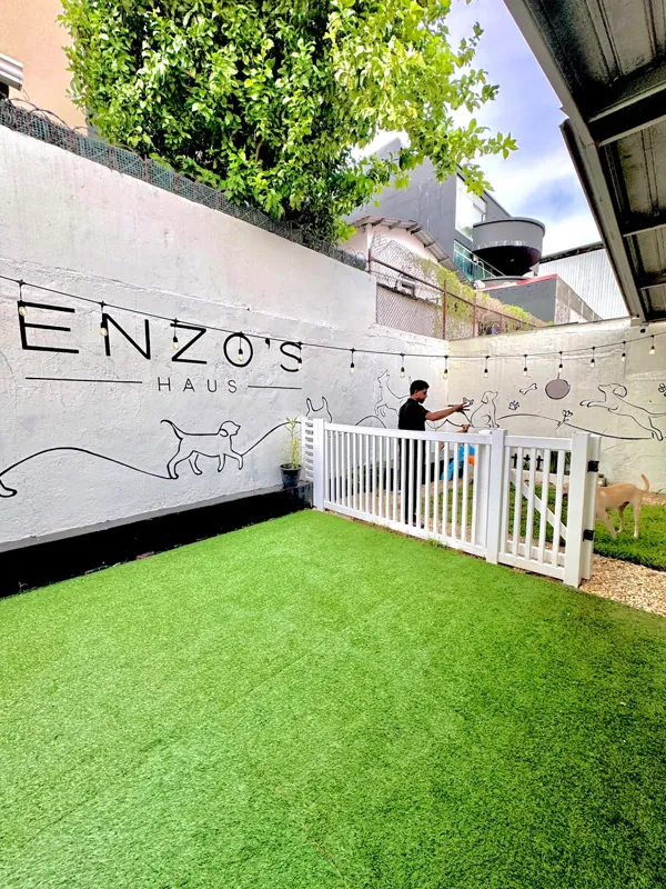 El patio de Enzo’s Haus, con grama natural y espacio para jugar